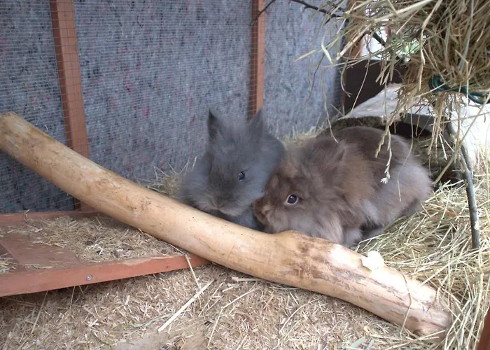 Noah - Lage, Ruhig Und Romantisch דירה *